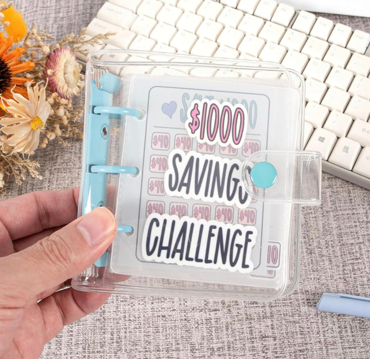 Mini Envelope Saving Challenge